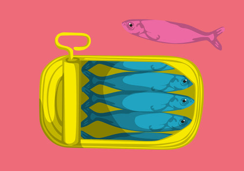 Postkarte "Sardellen"