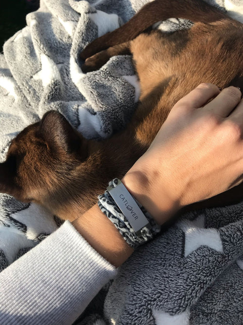 Catlove silber