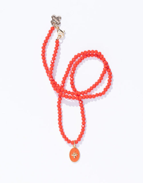farbe:Coral