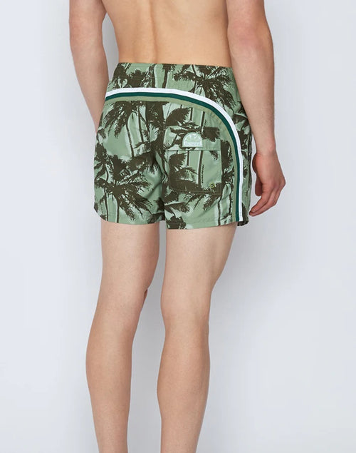 Short medium 14 inch Green Dust Palmtree