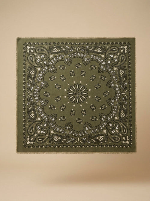 color:khaki