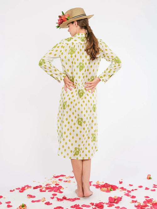 Kaftan Cedar Dots Embroidery Gujarat Birds Lime