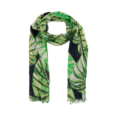 Schal Leaves