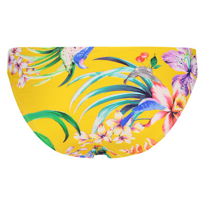 Bikini Sayulita Triangel