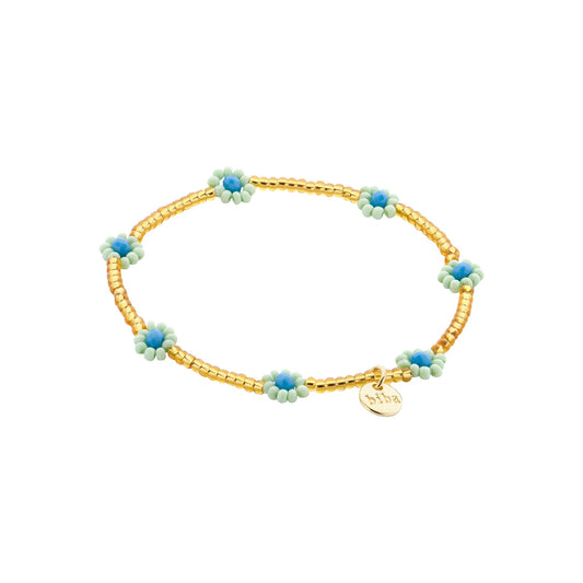 farbe:Aqua |