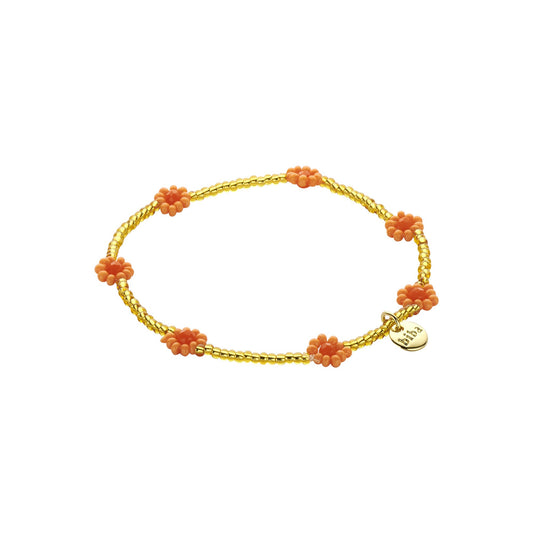 farbe:Coral |