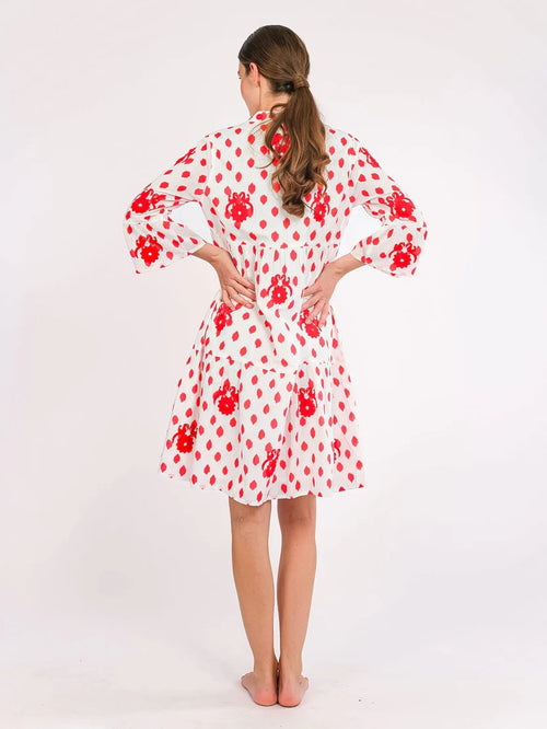 Borage Dress Dots Gujarat Birds Embroidery red