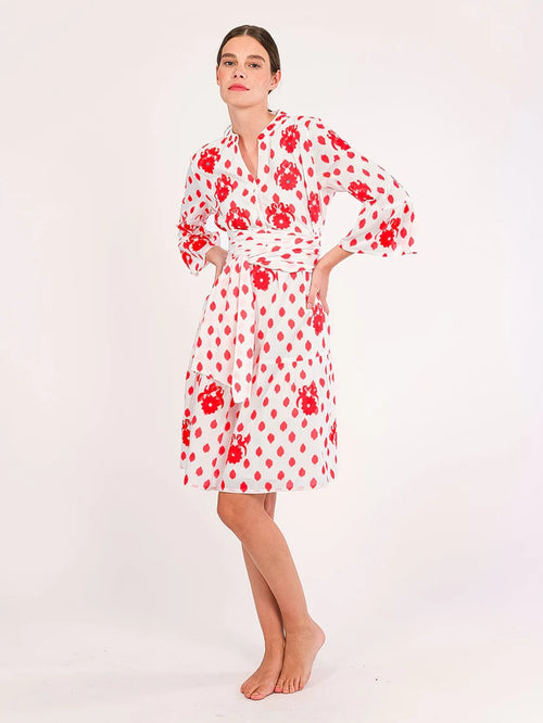 Borage Dress Dots Gujarat Birds Embroidery red