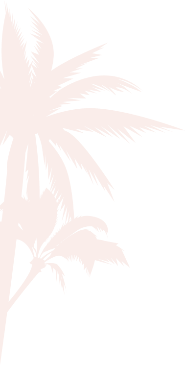 Palms decoration